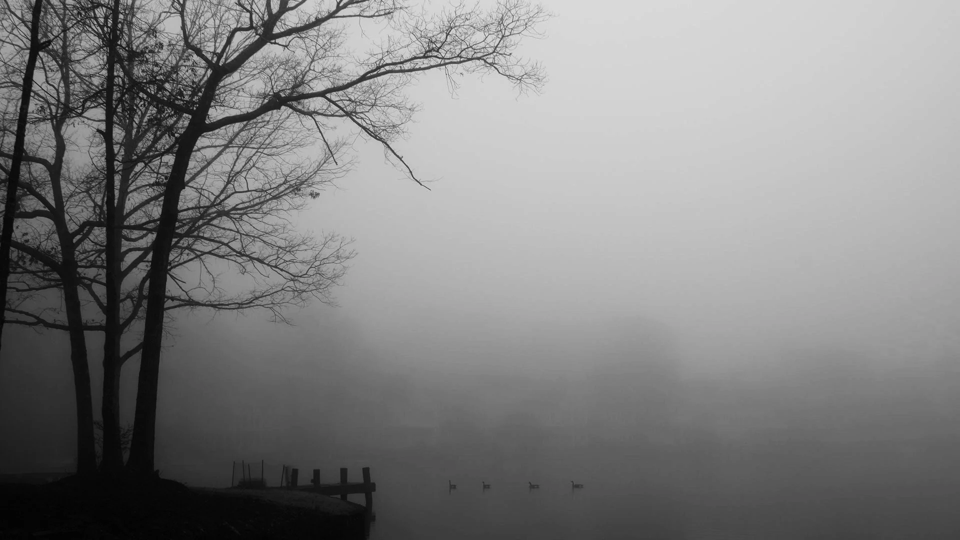 Fog Dock