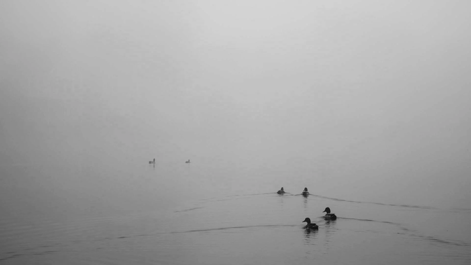 Silent Water